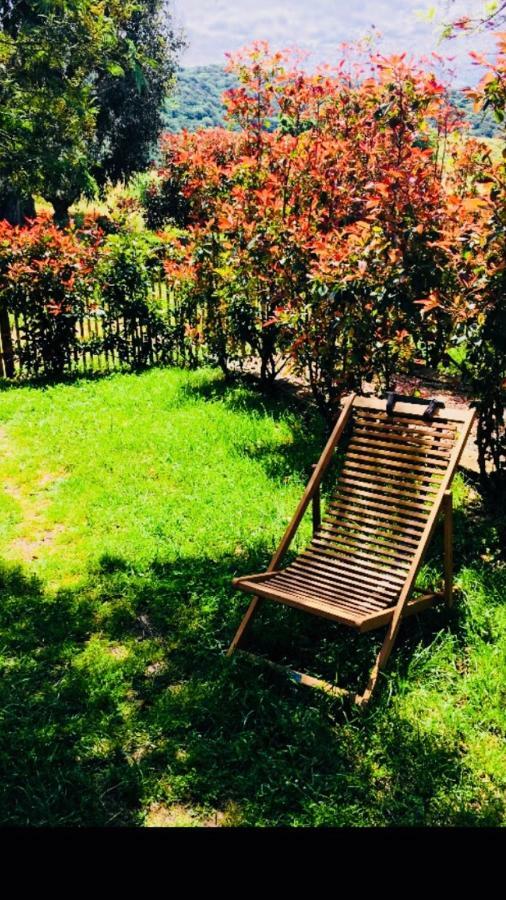 A Fata Di L'Ortolo Gites A La Ferme Sartène Εξωτερικό φωτογραφία